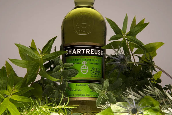 Exploring the Enigmatic Elixir: A Journey Through the Different Types of Chartreuse